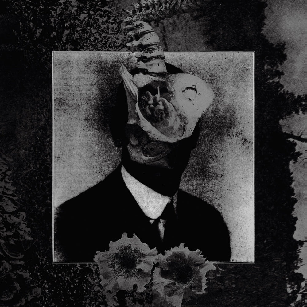 Mord' A' Stigmata - Like Ants And Snakes - CD DIGIPAK - Pagan Records