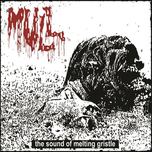 Mull - The Sound Of Melting Gristle - CD - Rotten Roll Rex