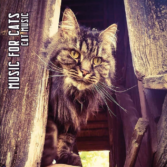 Music For Cats - Cat Music - CD DIGISLEEVE - Cerberus Digital