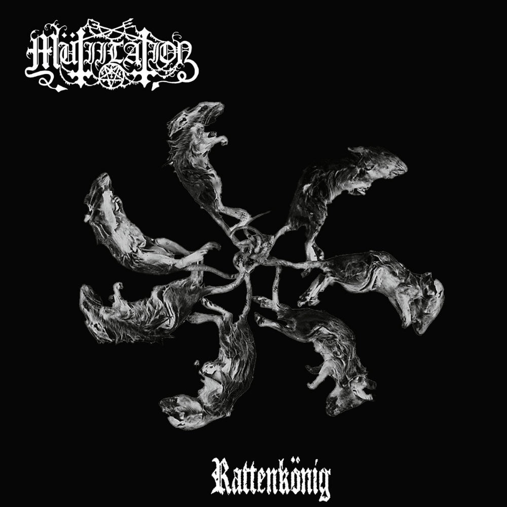 Mutiilation - Rattenkönig - LP COLOURED - Osmose Productions - Image 2