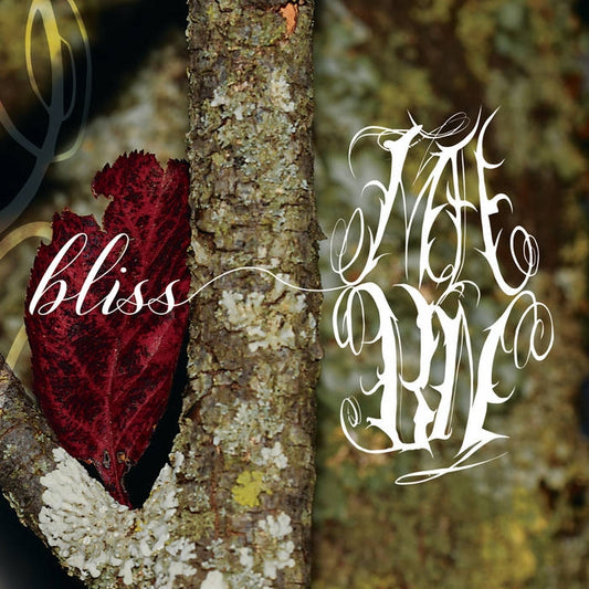 My Absence By Now - Bliss - CD DIGIPAK - The Circle Music