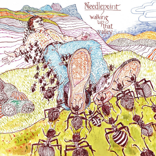 Needlepoint - Walking Up That Valley - CD DIGISLEEVE - Stickman Records