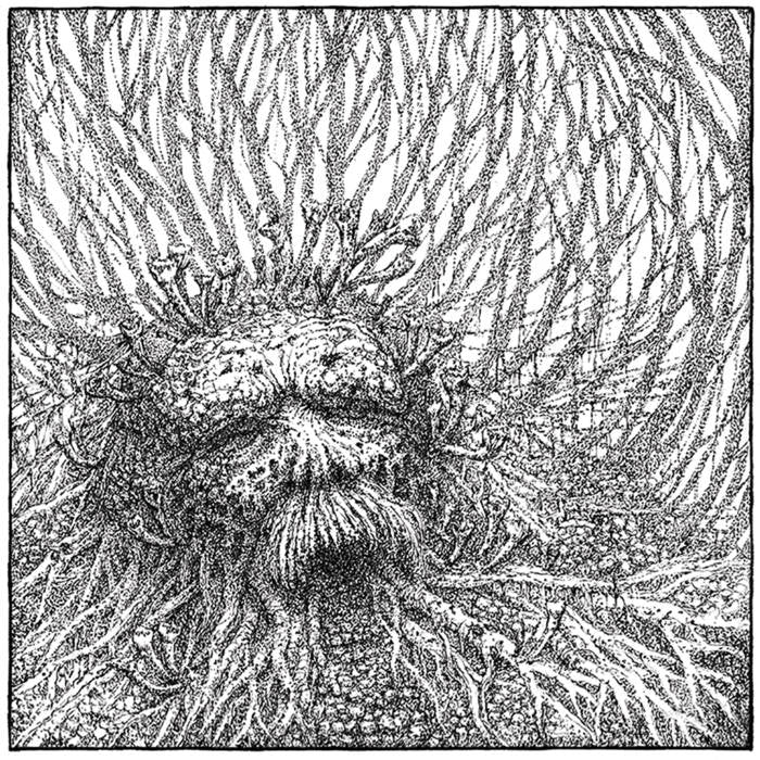 Nemorous - Nemorous - LP COLOURED + CD - Bindrune Recordings