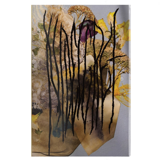 Nidelgret - Trauerlarm - CASSETTE COLOURED - Frozen Records