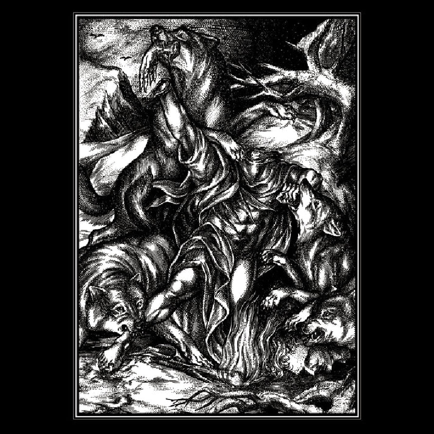 Nocturnal Tyrant & Gergesenes - Split - LP COLOURED - Rabauw - Image 2
