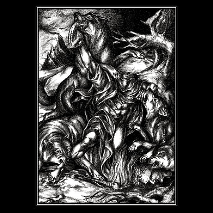 Nocturnal Tyrant & Gergesenes - Split - LP COLOURED - Rabauw - Image 2