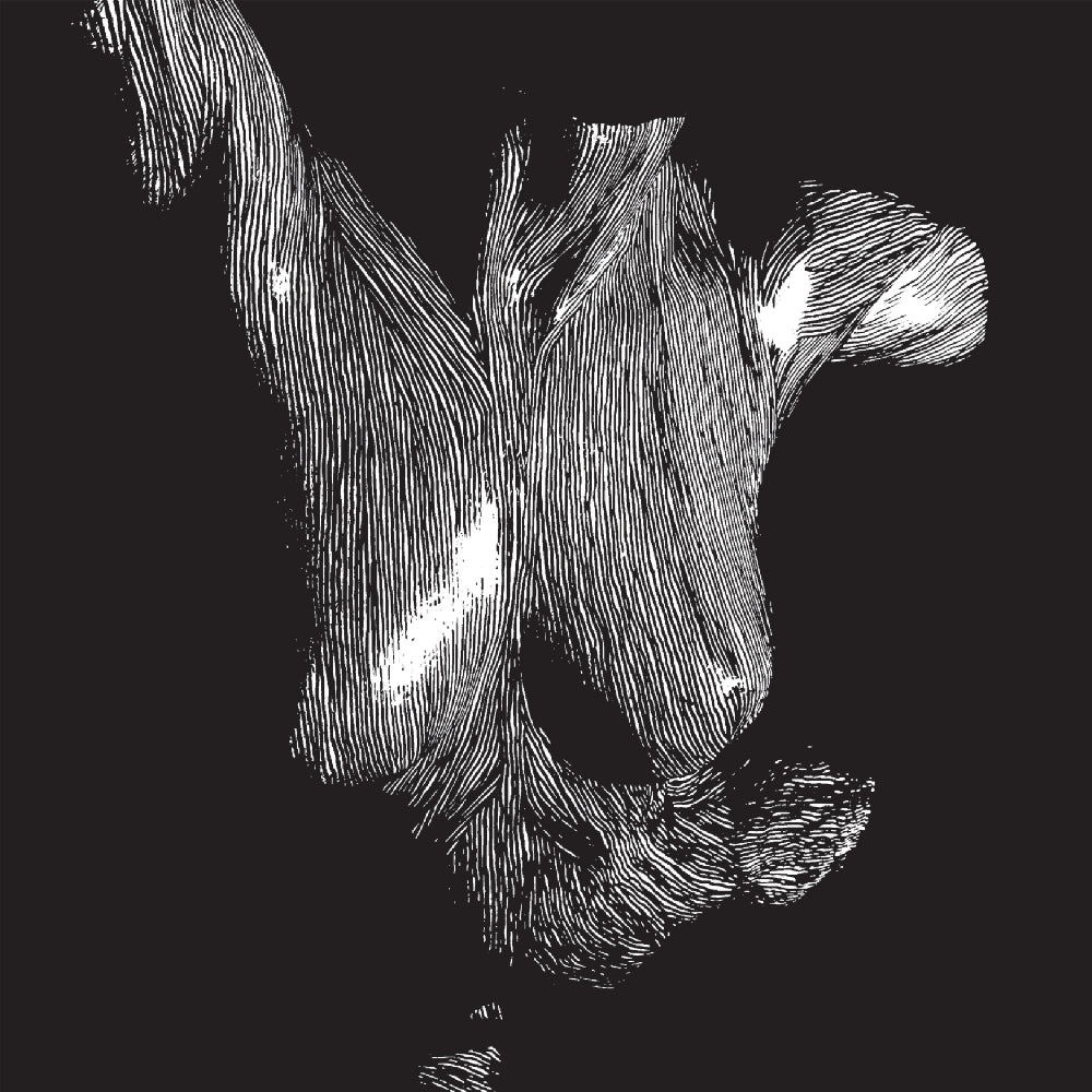 Oceansize - Self-Preserved While The Bodies Float Up - 3LP GATEFOLD - Kscope - Image 2