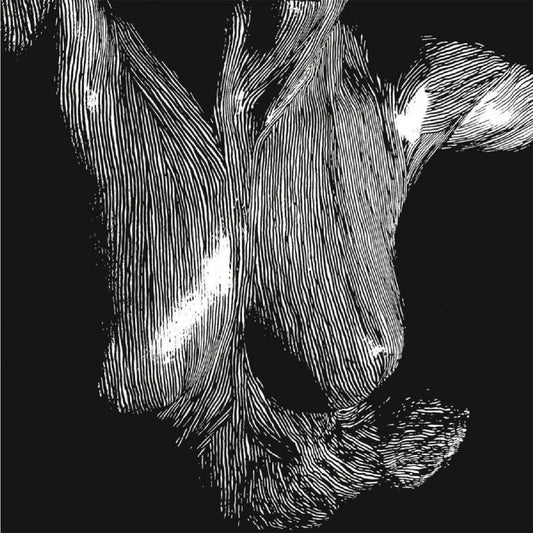Oceansize - Self Preserved While the Bodies Float Up - 2CD DIGIPAK - Kscope