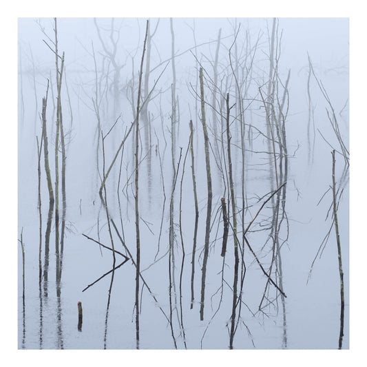 Olhava - Frozen Bloom - CD DIGIPAK - Avantgarde Music