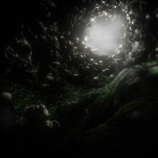 Owl Cave - Broken Speech - CD DIGISLEEVE - Time Tombs Production