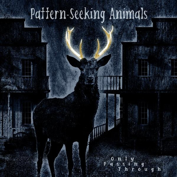 Pattern-Seeking Animals - Only Passing Through - CD DIGIPAK - Inside Out
