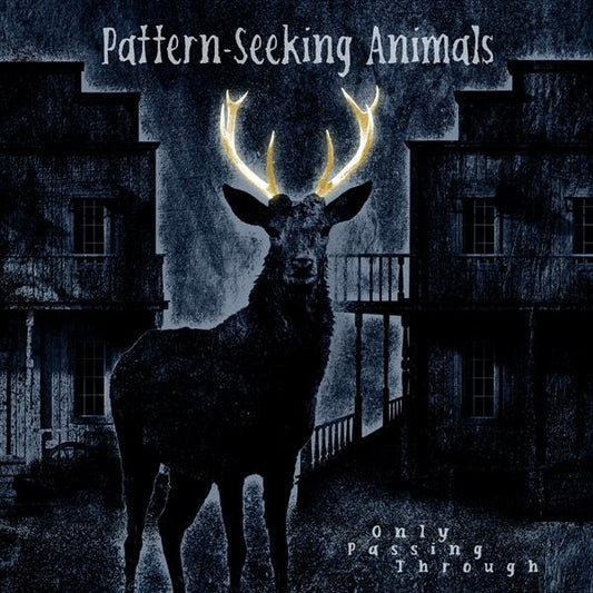 Pattern-Seeking Animals - Only Passing Through - CD DIGIPAK - Inside Out