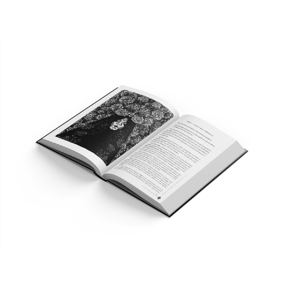 Pierre Avril - Black Metal - Volume 3 - BOOK - Editions Des Flammes Noires - Image 4