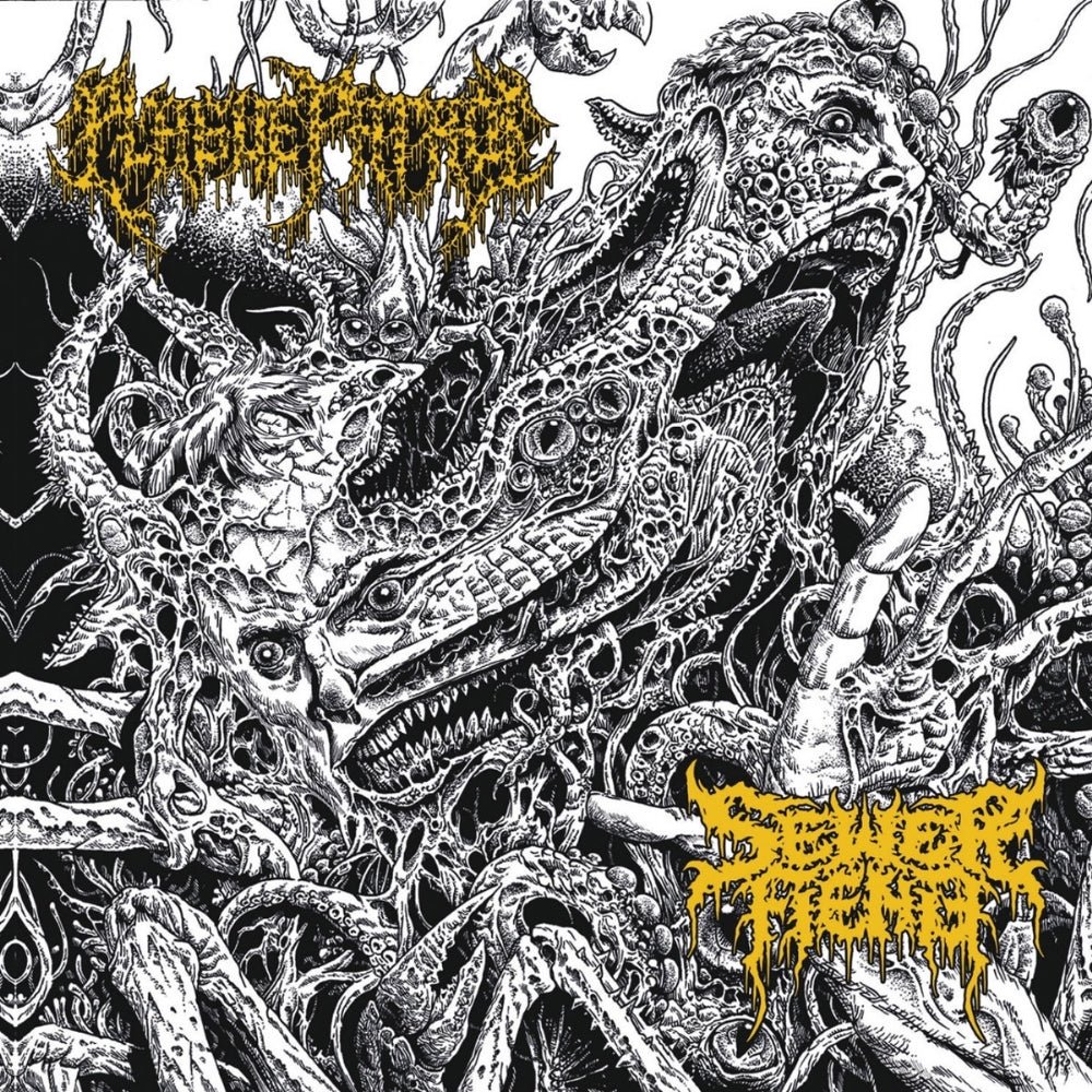 Plague Patrol - Sewer Fiend - Split - CD - Behind The Mountain Records