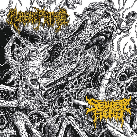 Plague Patrol - Sewer Fiend - Split - CD - Behind The Mountain Records