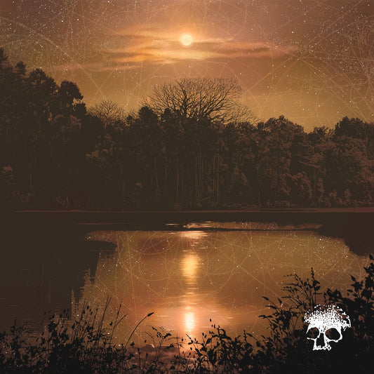 Planes Mistaken For Stars - Do You Still Love Me? - CD DIGIBOOK - Deathwish Inc.