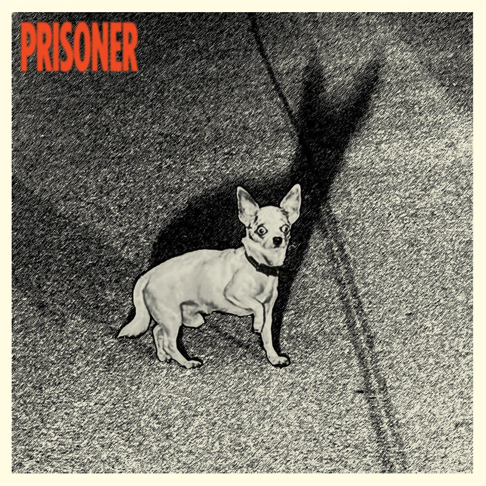Prisoner - Prisoner - CD - Wicked Cool Records