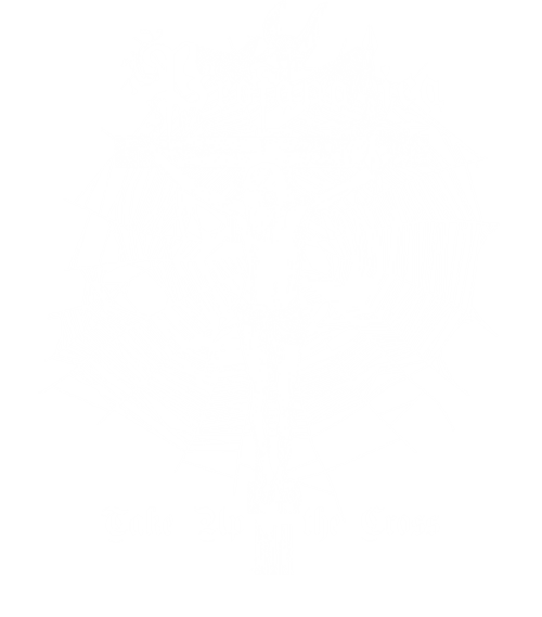 3834-0