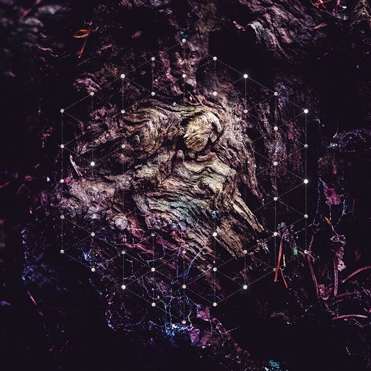 Psychonaut - Unfold The God Man - DOUBLE LP GATEFOLD - Pelagic - Image 2