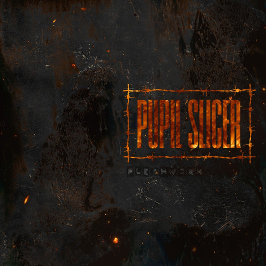 Pupil Slicer - Fleshwork - CD - MNRK Heavy