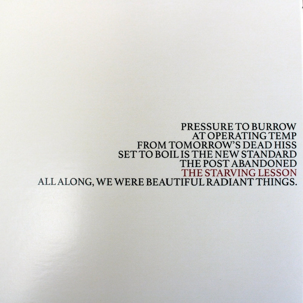 Quiet Man - The Starving Lesson - LP COLOURED - Riff Merchant Records - Image 4
