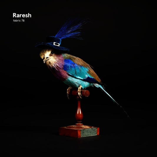 Raresh - Fabric 78: Raresh - CD DIGISLEEVE - Fabric Worldwide Ltd