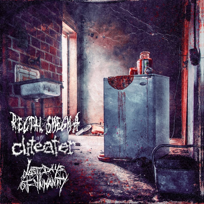 Rectal Smegma - Cliteater - Last Days Of Humanity - Split - LP COLOURED - Rotten Roll Rex - Image 2