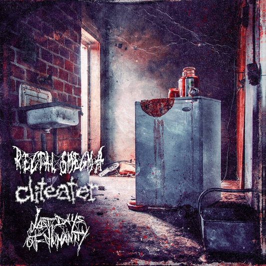 Rectal Smegma - Cliteater - Last Days Of Humanity - Split - LP COLOURED - Rotten Roll Rex - Image 2