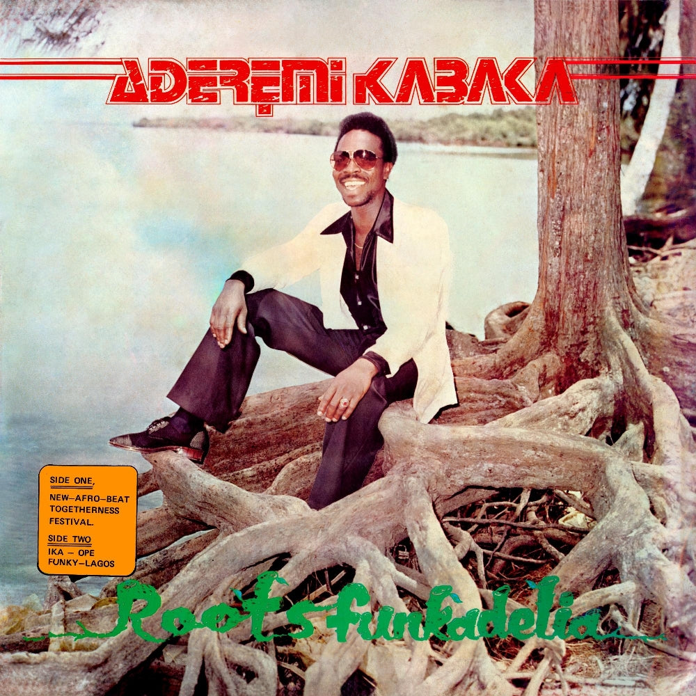 Remi Kabaka - Roots Funkadelia - LP - BBE Africa