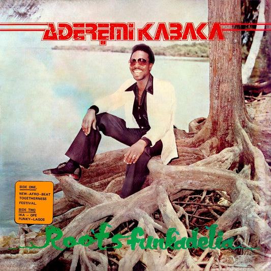 Remi Kabaka - Roots Funkadelia - LP - BBE Africa