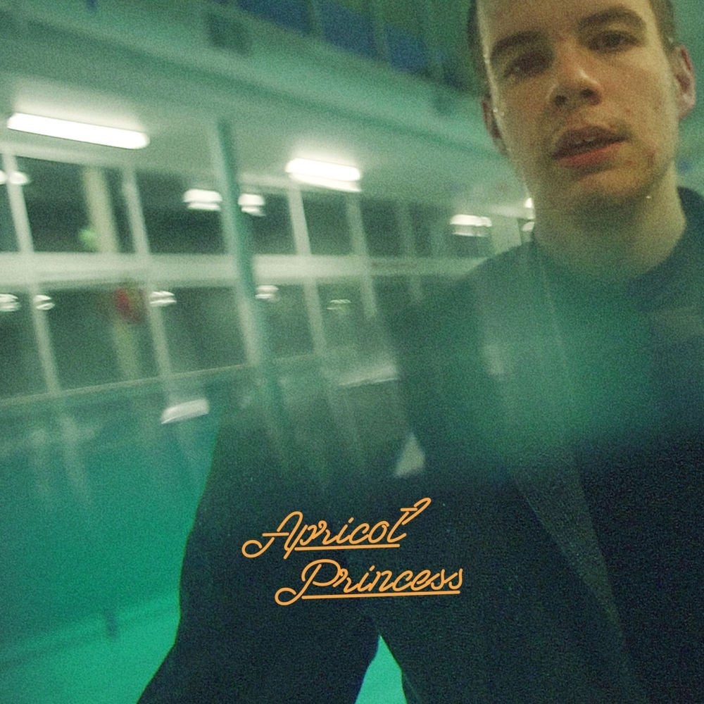Rex Orange County - Apricot Princess - LP - Rex Orange County