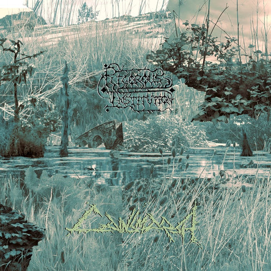 Rigorous Institution - Cainmarsh - CD DIGISLEEVE - Sentient Ruin