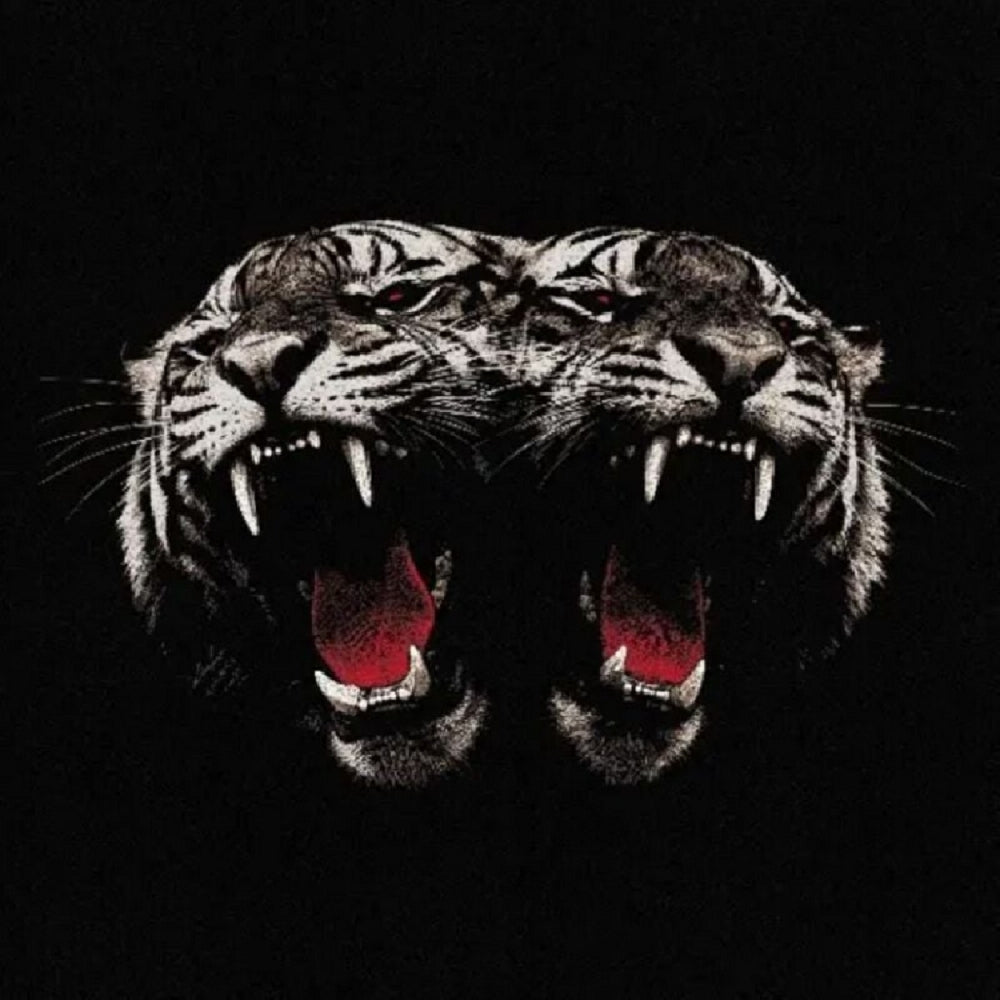 Royal Blood - Dead Company - CD/Vinyl - Image 1 - 