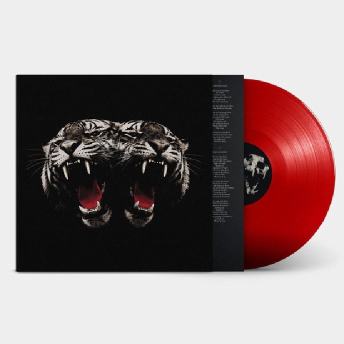 Royal Blood - Dead Company - CD/Vinyl - Image 3 - 