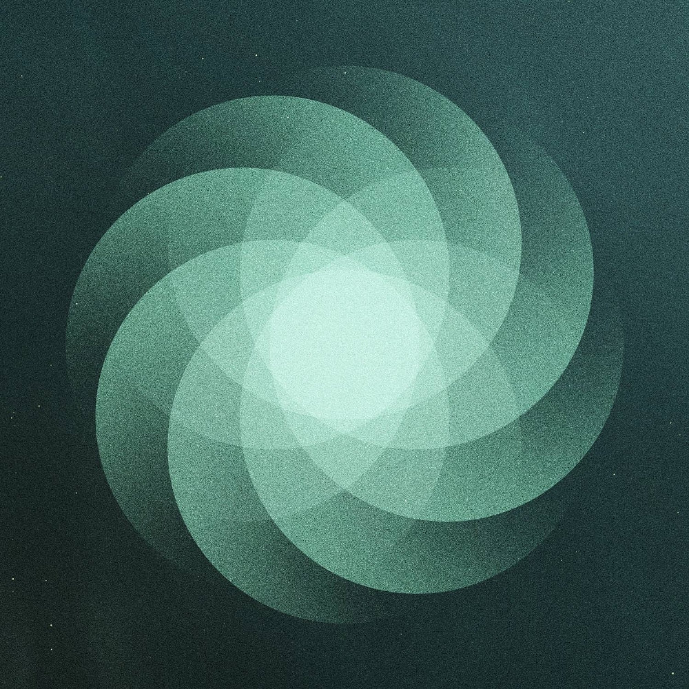 SOM - The Shape Of Everything - LP Gatefold - Pelagic