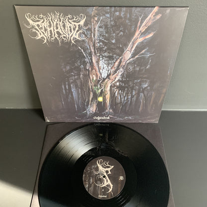 Schatvot - Galgenbrok - LP - Rabauw - Image 2