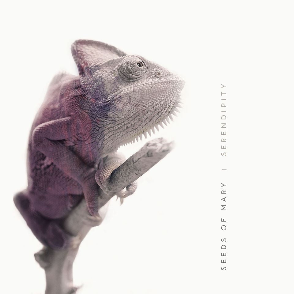 Seeds Of Mary - Serendipity - CD DIGIPAK - Klonosphere