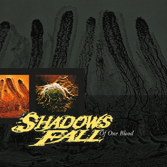 Shadows Fall - Of One Blood - LP COLOURED - Back on Black - Image 2