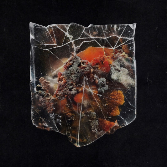 Shields - Death & Connection - LP - Long Branch Records