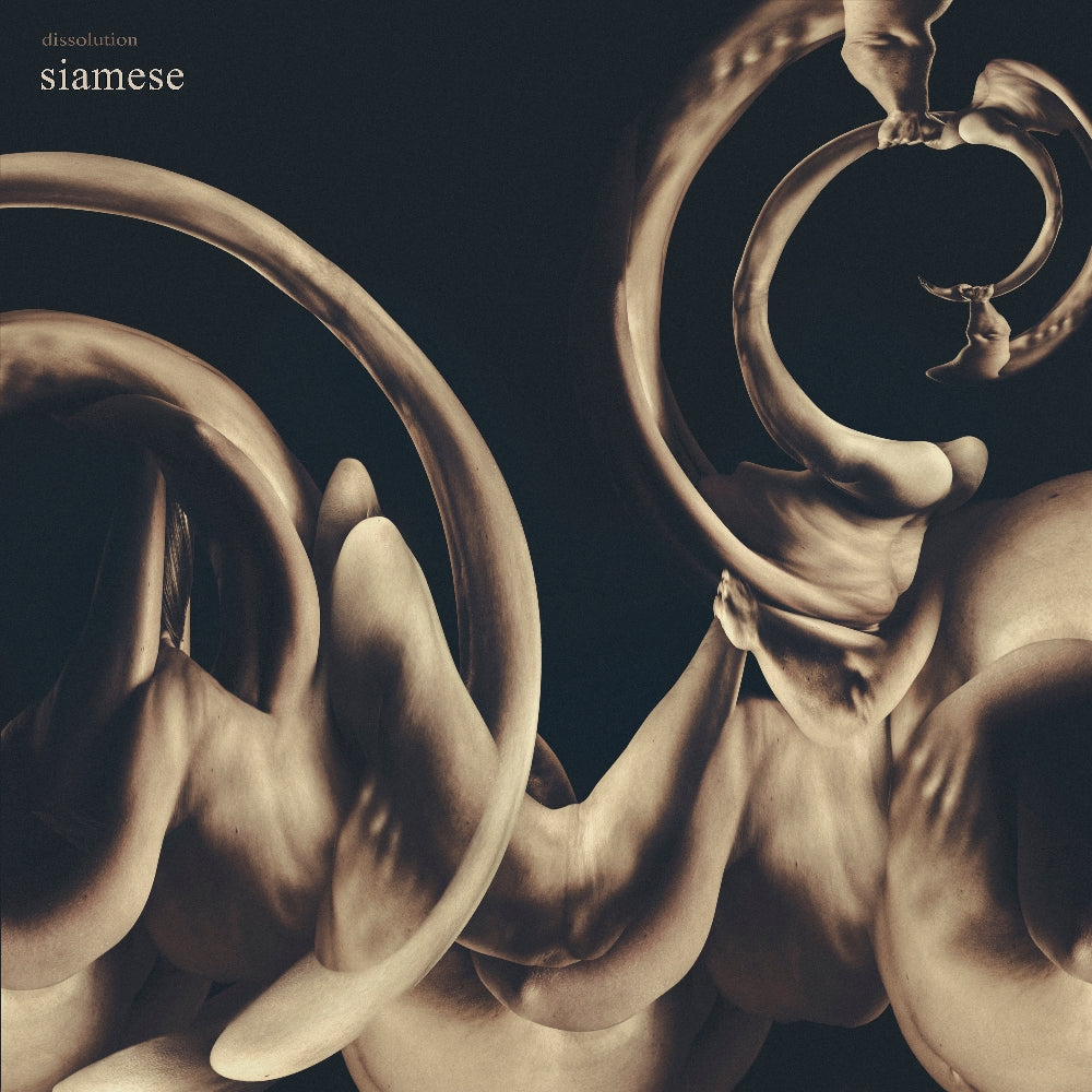 Siamese - Dissolution - LP - Long Branch Records