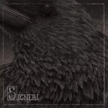 Signeri - Signeri - LP - ViciSolum Productions - Image 2
