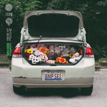Sincere Engineer - Bless My Psyche - LP COLOURED - Hopeless Records - Image 2