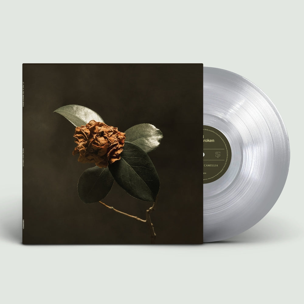 St Paul & The Broken Bones - Young Sick Camellia - LP - Records JV/RED/St. Paul & The Broken Bones LP2