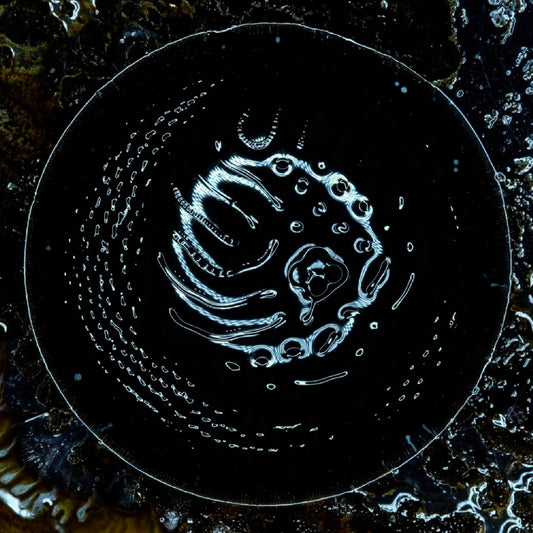 Stonus - Stonus - LP - Ripple Music