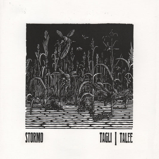 Stormo - Tagli/Talee - LP - Prosthetic Records - Image 2