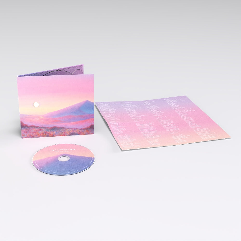 Strawberry Guy - Give Me A Dream - CD/Vinyl - Image 1 - 