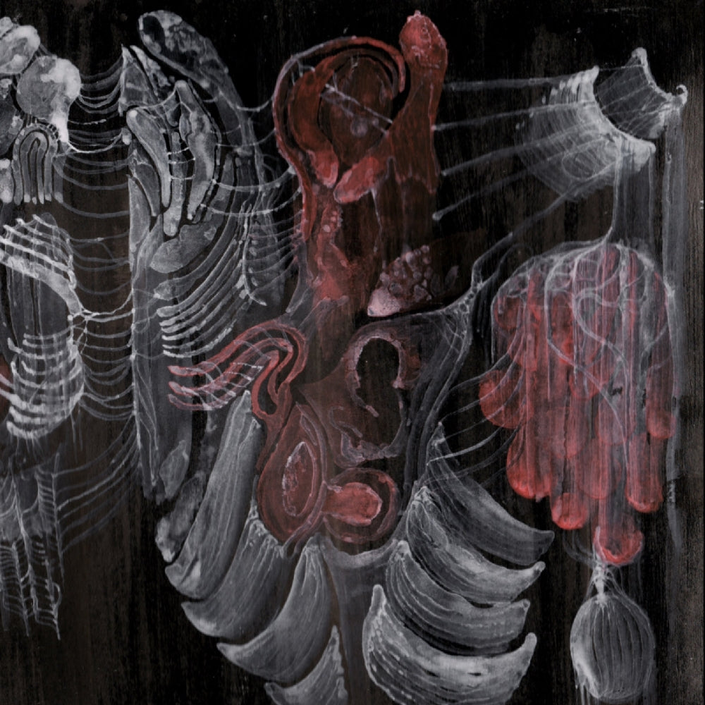 Strigiform - Aconite - CD DIGIPAK - I Voidhanger Records