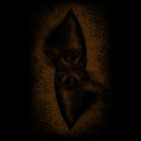 Suma - Ashes - CD DIGIPAK - Regain Records