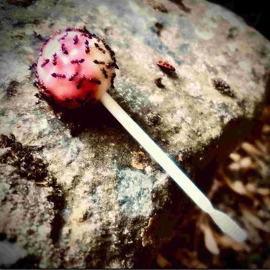 Sycomore - Antisweet - LP COLOURED - Source Atone Records - Image 2