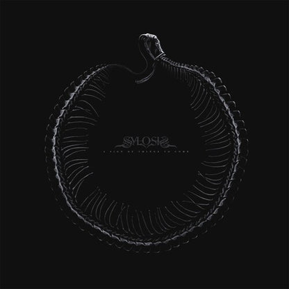 Sylosis - A Sign Of Things To Come - LP Gatefold Coloured - Nuclear Blast - Image 2